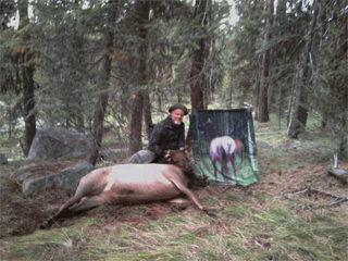 Cow Elk Decoy2011
